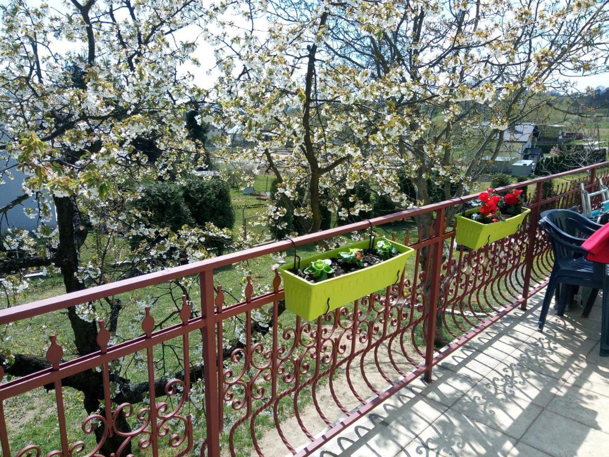 Homestay Strozowka Gorlice Εξωτερικό φωτογραφία